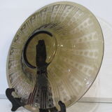 Dish