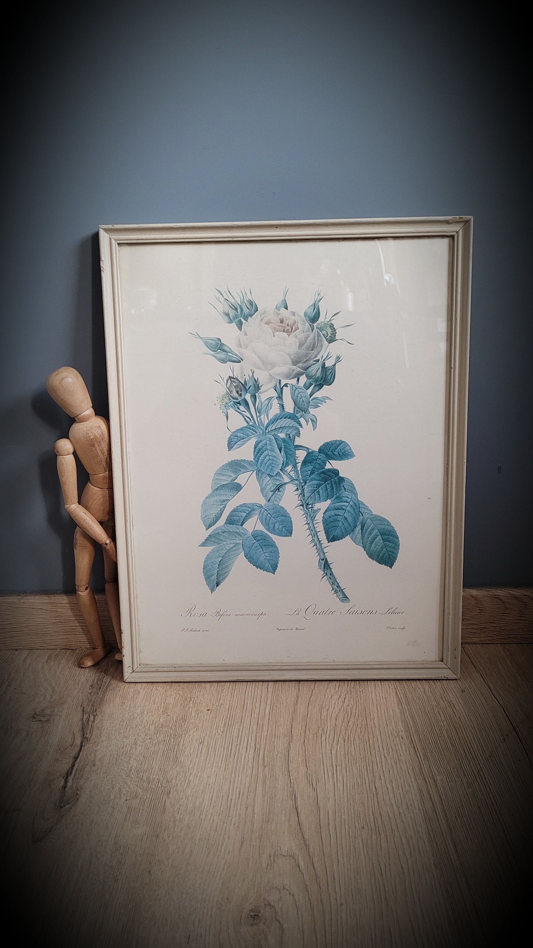 Litho rose Four seasons Lelieux