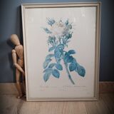 Litho rose Four seasons Lelieux