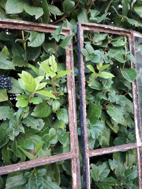 Industrial arched metal window L128xH114 19th century glass roof 2 leaves