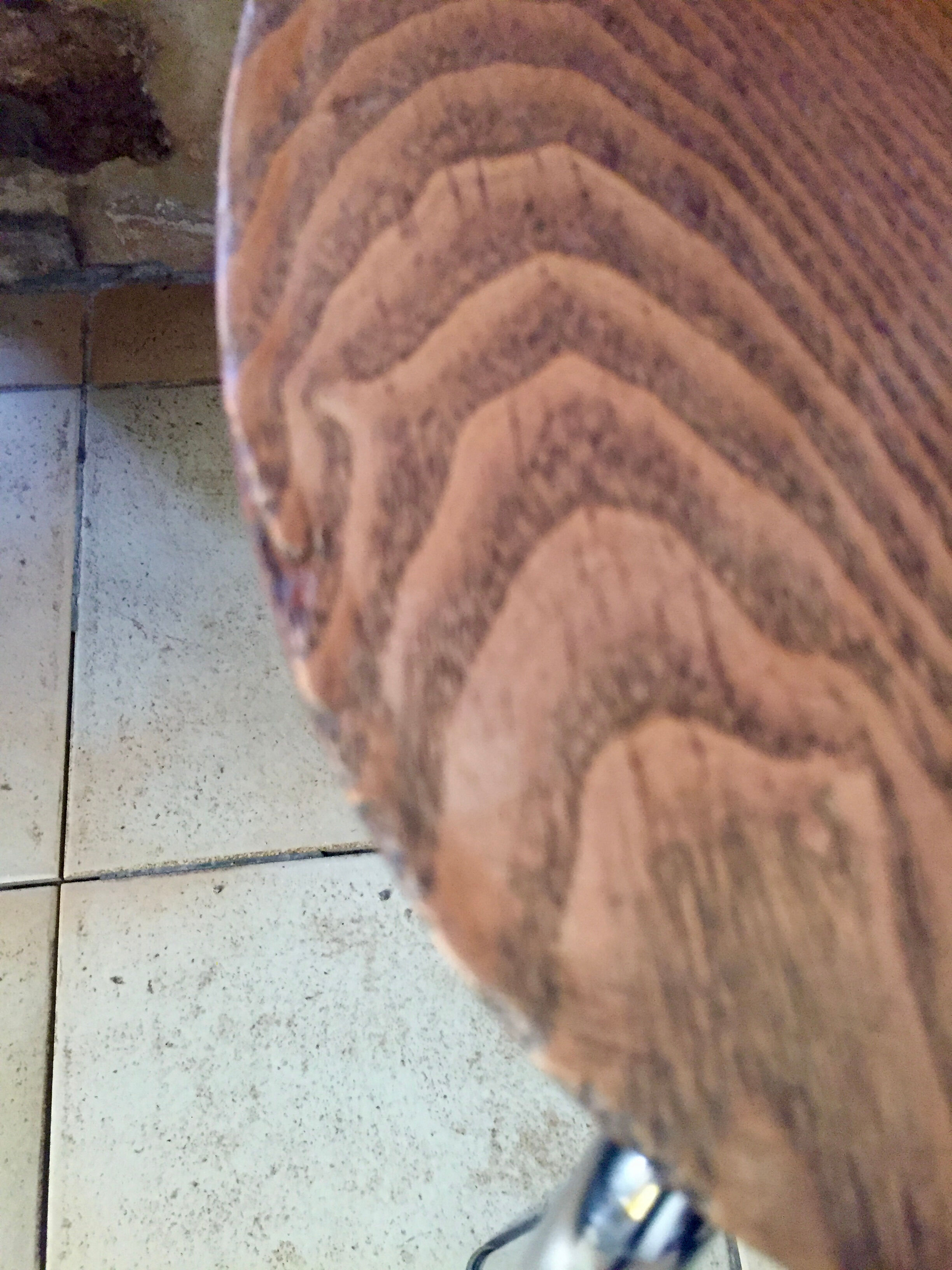 Vintage scandinavian chair