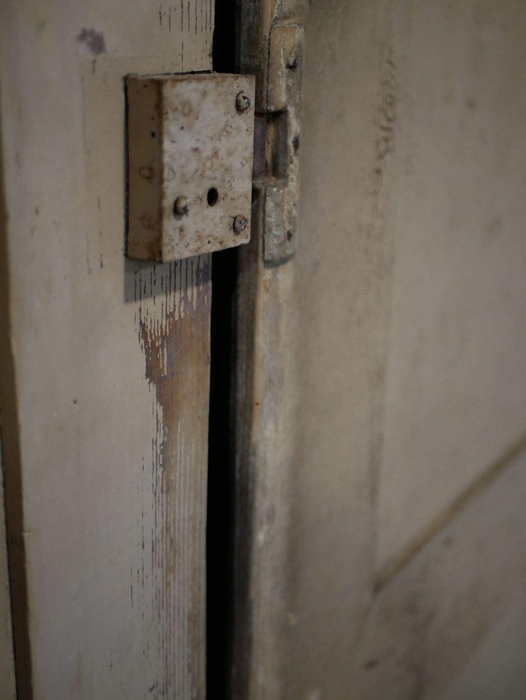 Antique painted wooden doors