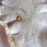 Pair of Sheepskins year 70 70x115cm