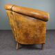 Sheep leather club chair