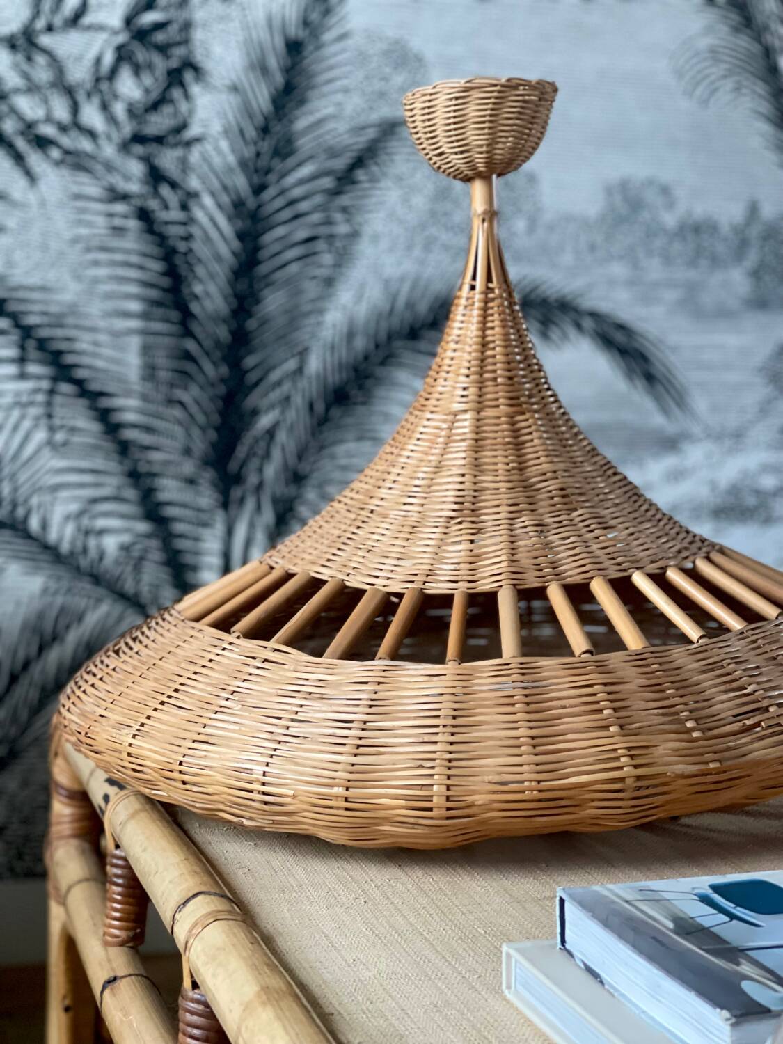 Rattan suspension 1960