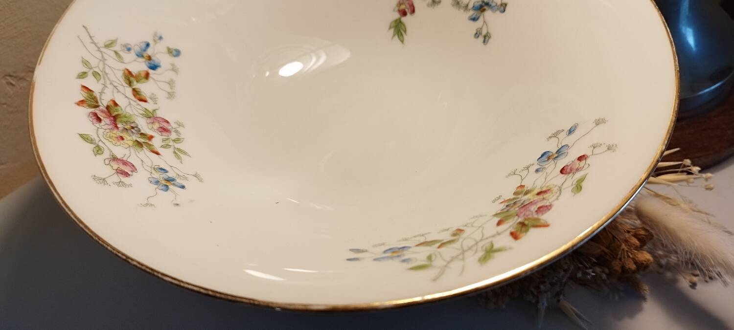 Porcelain fruit bowl with lions from Faïence Paris