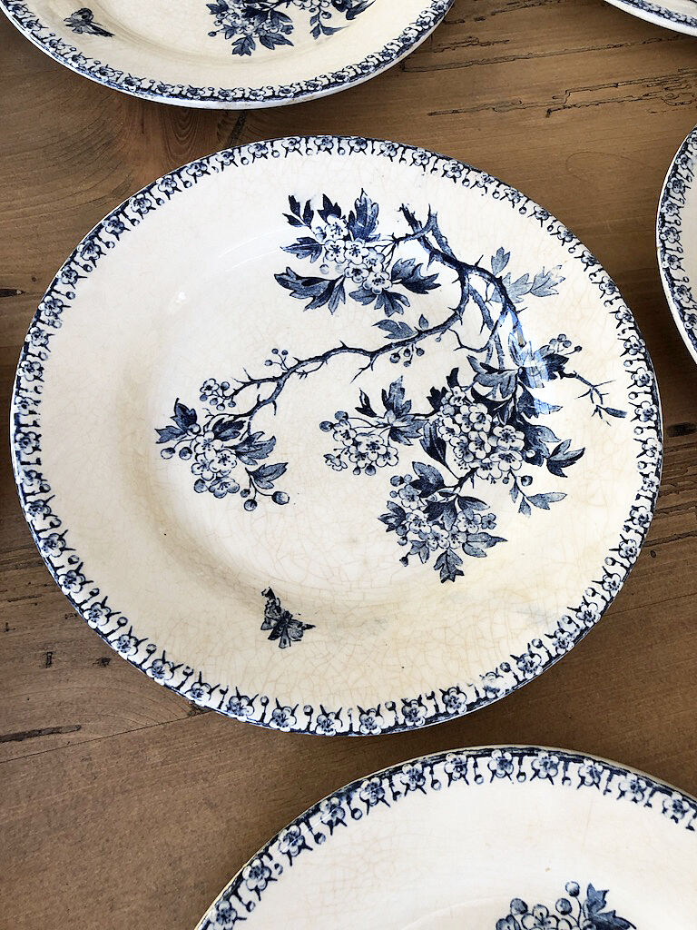 11 plates Terre de Fer Aubepine