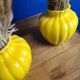 Paire de vase en émail jaune citron