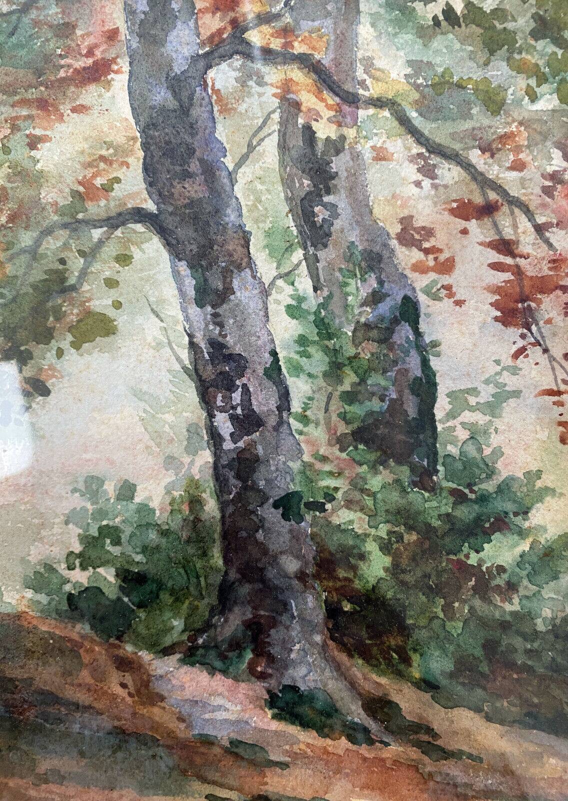 19th century watercolor painting "Trees" signed + period frame and glass