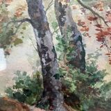 Tableau Aquarelle XIX° "Arbres" signé + cadre et verre d'époque
