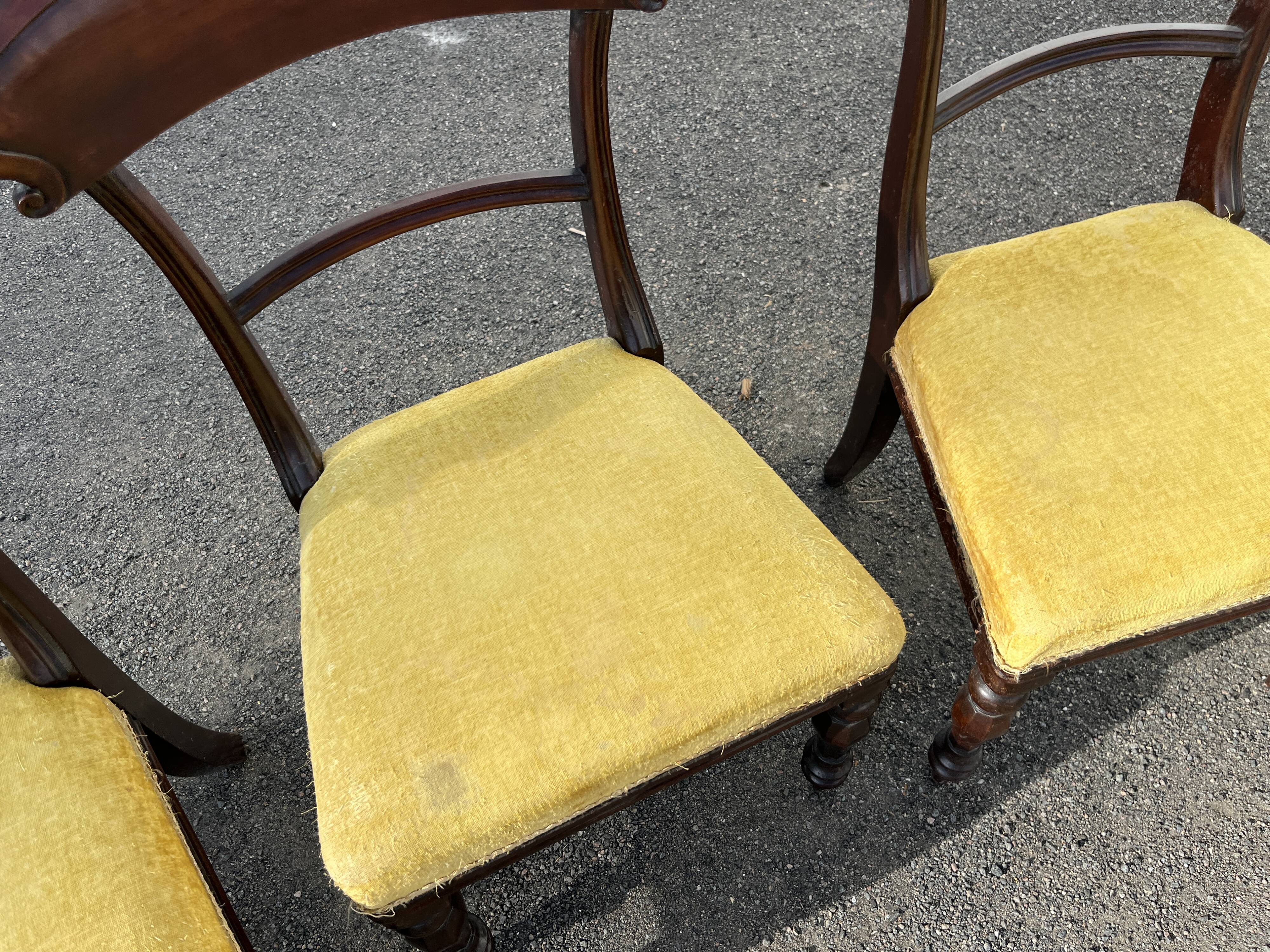 Lot de 3 chaises style victorien – acajou – assise velours jaune