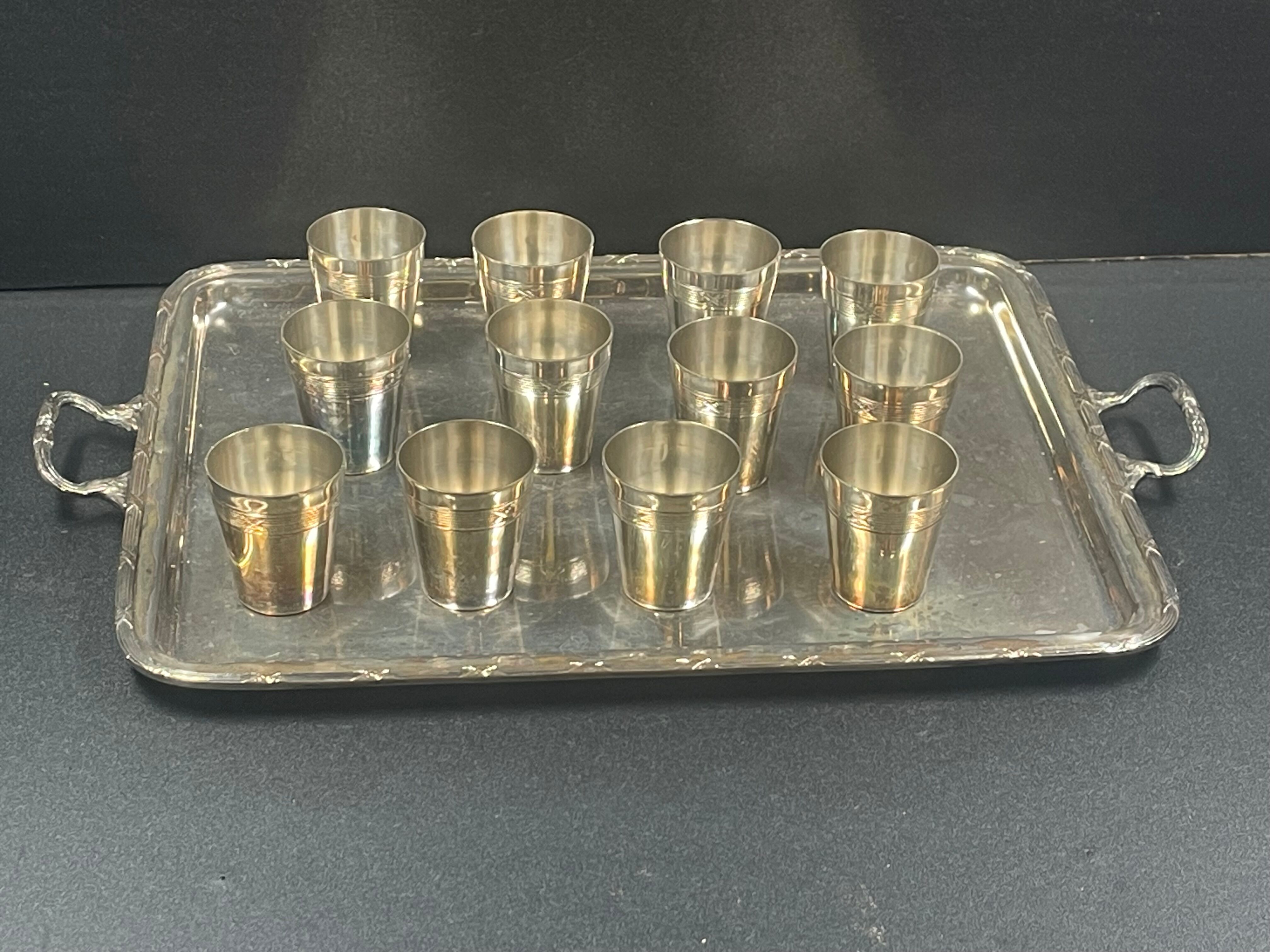 12 cups with silver metal tray