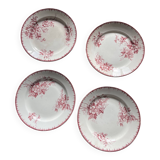 Set of 4 Maastricht earthenware dinner plates