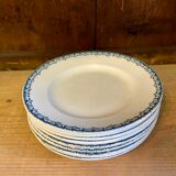 Blue Iron Earth plates