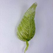 Barovier & Toso leaf-shaped wall sconce, green Murano glass, Italy, 1960s