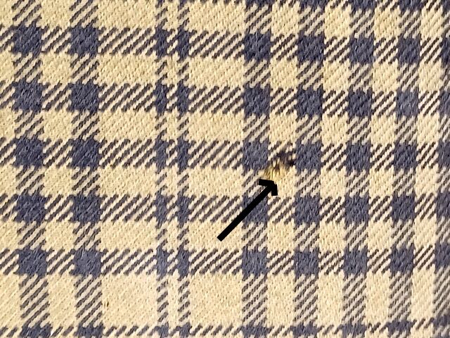 Paire de poufs ottomans design de Steiner années 50