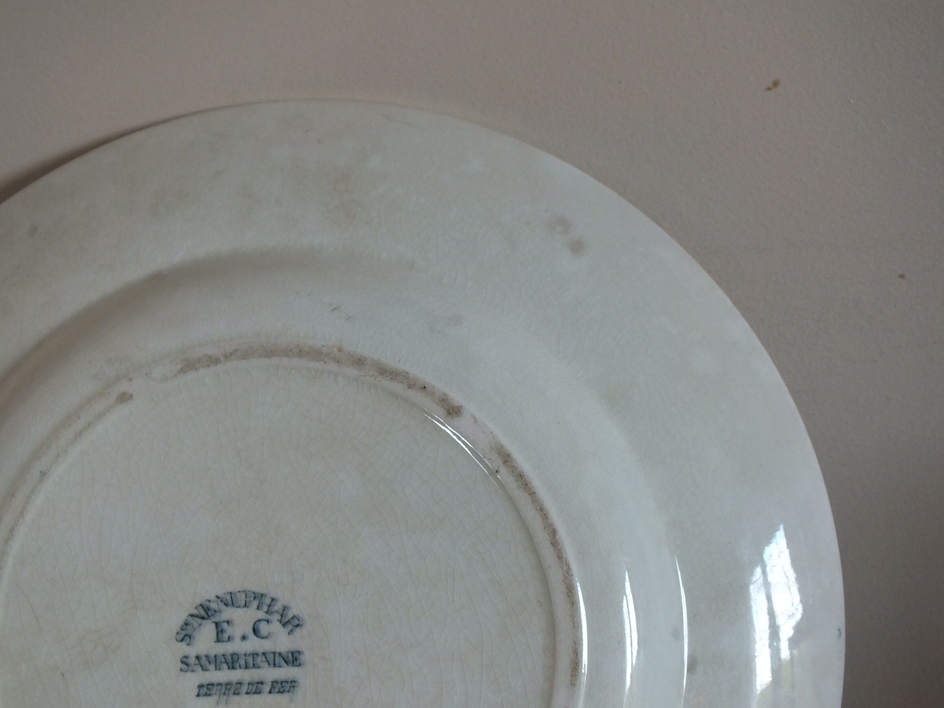 Round dish in Iron Earth, Water Lily Service Salins E.C Samaritan