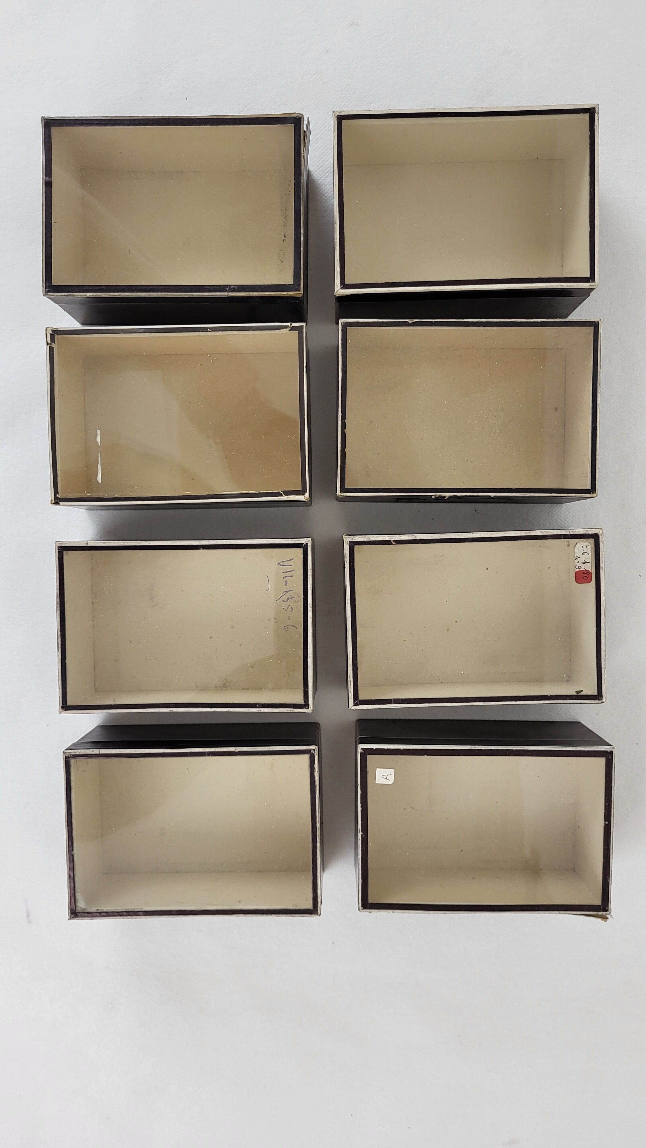 Individual box Entomology Cardboard / Glass
