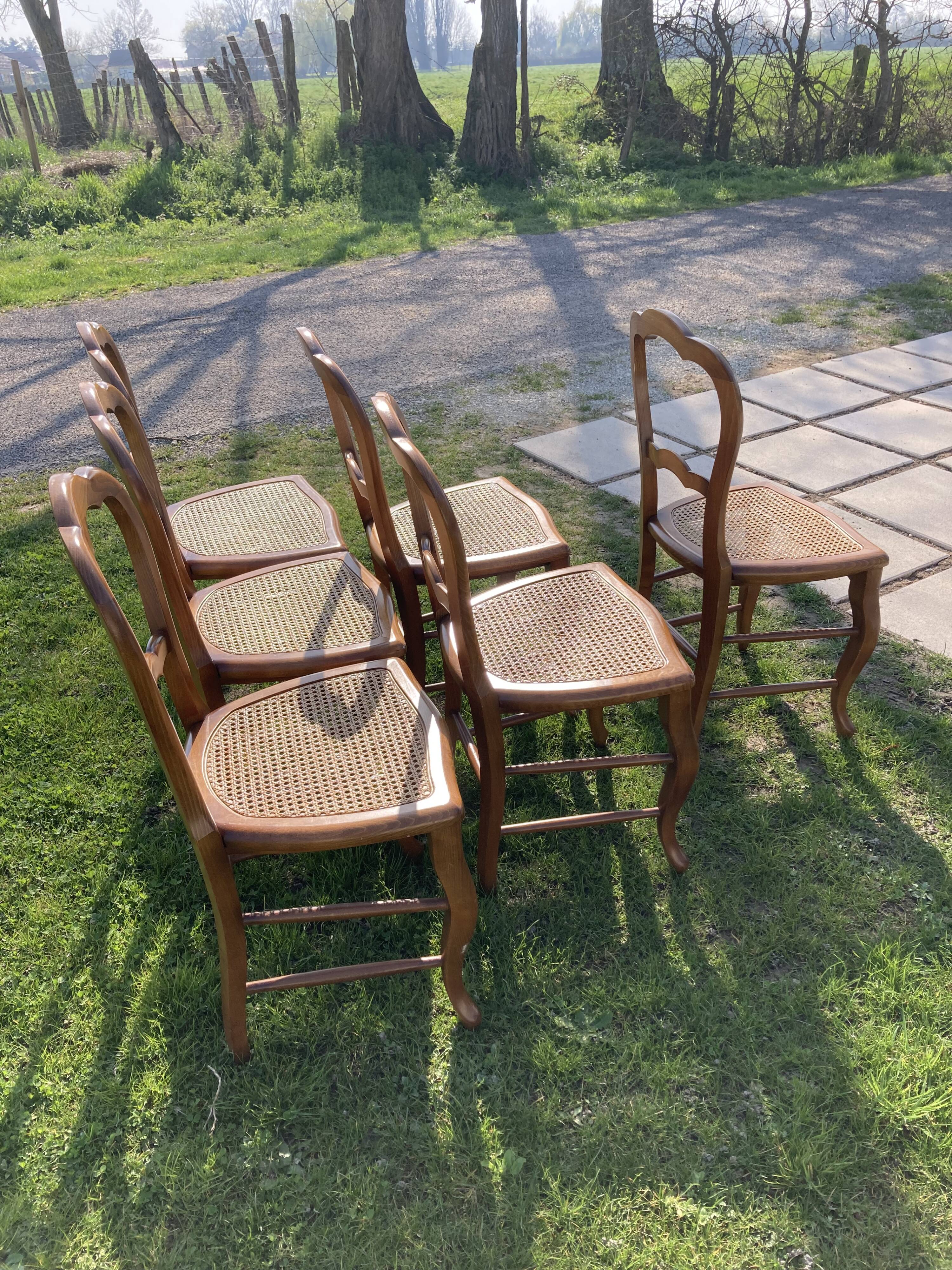 6 chaises Louis Philippe cannées