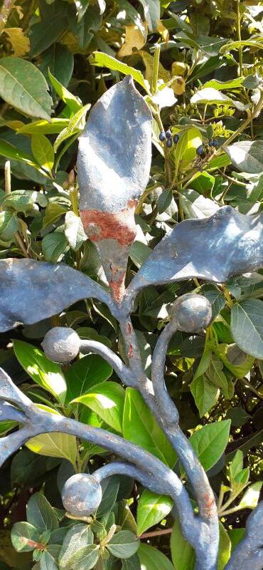 Portillon plein, fer jardin, H247x110cm, ancien, porte extérieure