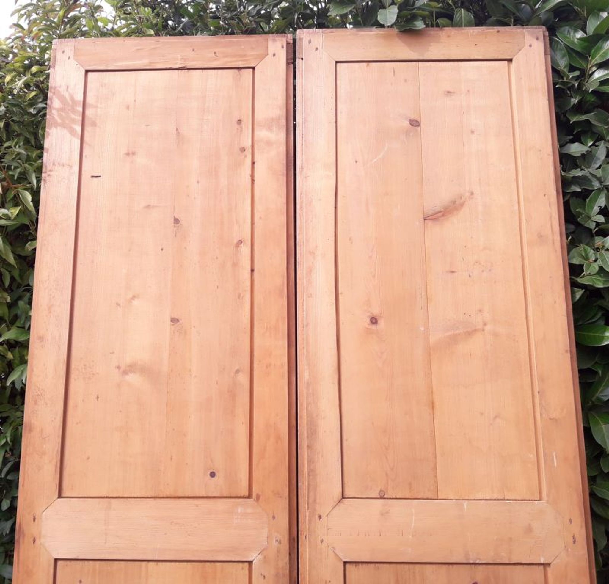 Paire de portes 248x129cm anciennes