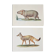 Bestiary plates from the Natural History Museum The Hippopotamus