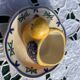 Coconut tree B. Henriot Quimper vintage
