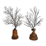 Pair of black fan corals on turned wooden base, Height 25 cm