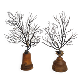 Pair of black fan corals on turned wooden base, Height 25 cm