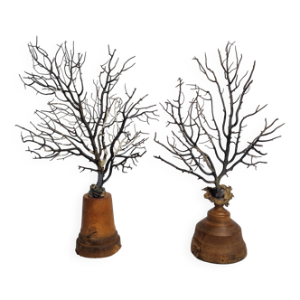 Pair of black fan corals on turned wooden base, Height 25 cm