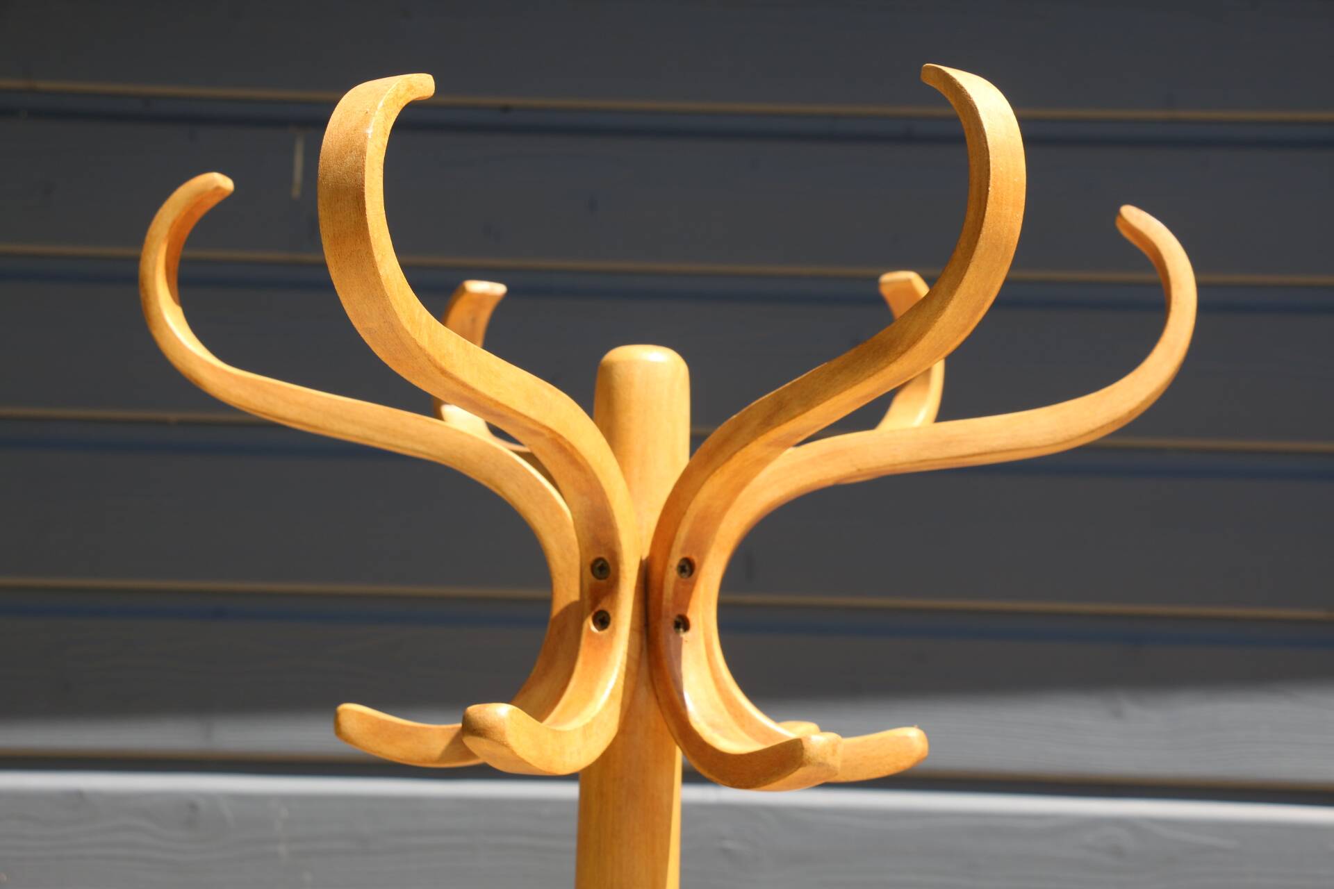 Coat rack parrot BAUMANN light beech (A3)