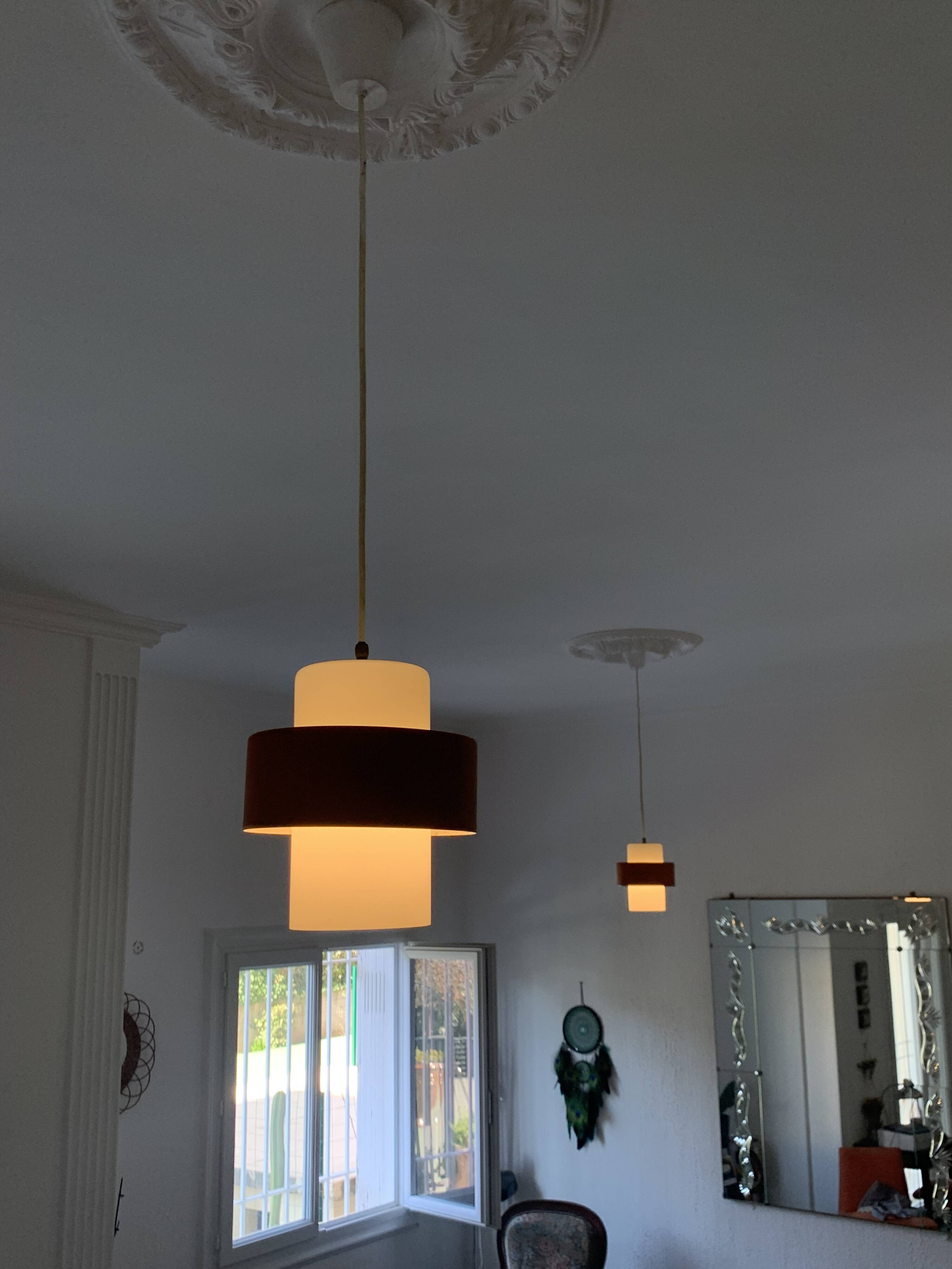 Paire suspension vintage 1960 Louis Kalff "Lierre" Philips carotte - 22 cm