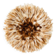 Juju Hat beige 50 cm