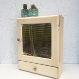 Pharmacy cabinet
