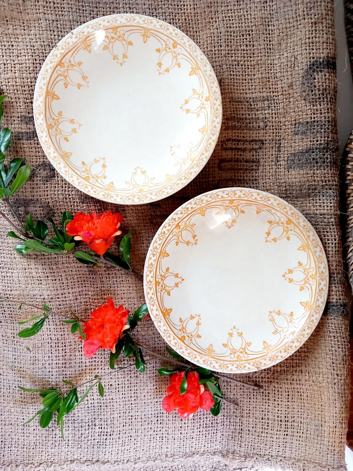 Assiettes semi creuses x2 Bruges