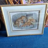 Engraving Daniel Giraud Elliot