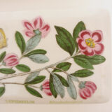 English ceramic butter dish