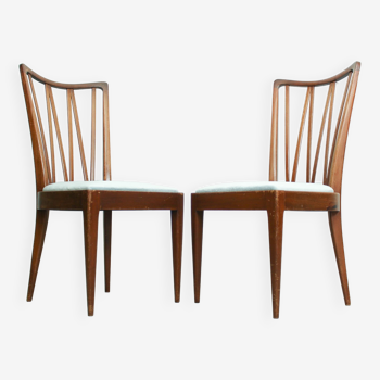 Two Dining Chairs designed by Abraham A. Patijn for Zijlstra Furniture, The Netherlands 1960s