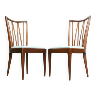 Two Dining Chairs designed by Abraham A. Patijn for Zijlstra Furniture, The Netherlands 1960s