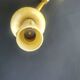 Pair of bronze wall sconces in Empire style