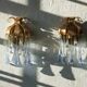 Crystal Wall Lights by Palme & Walter Palwa, 1960s, Set of 2