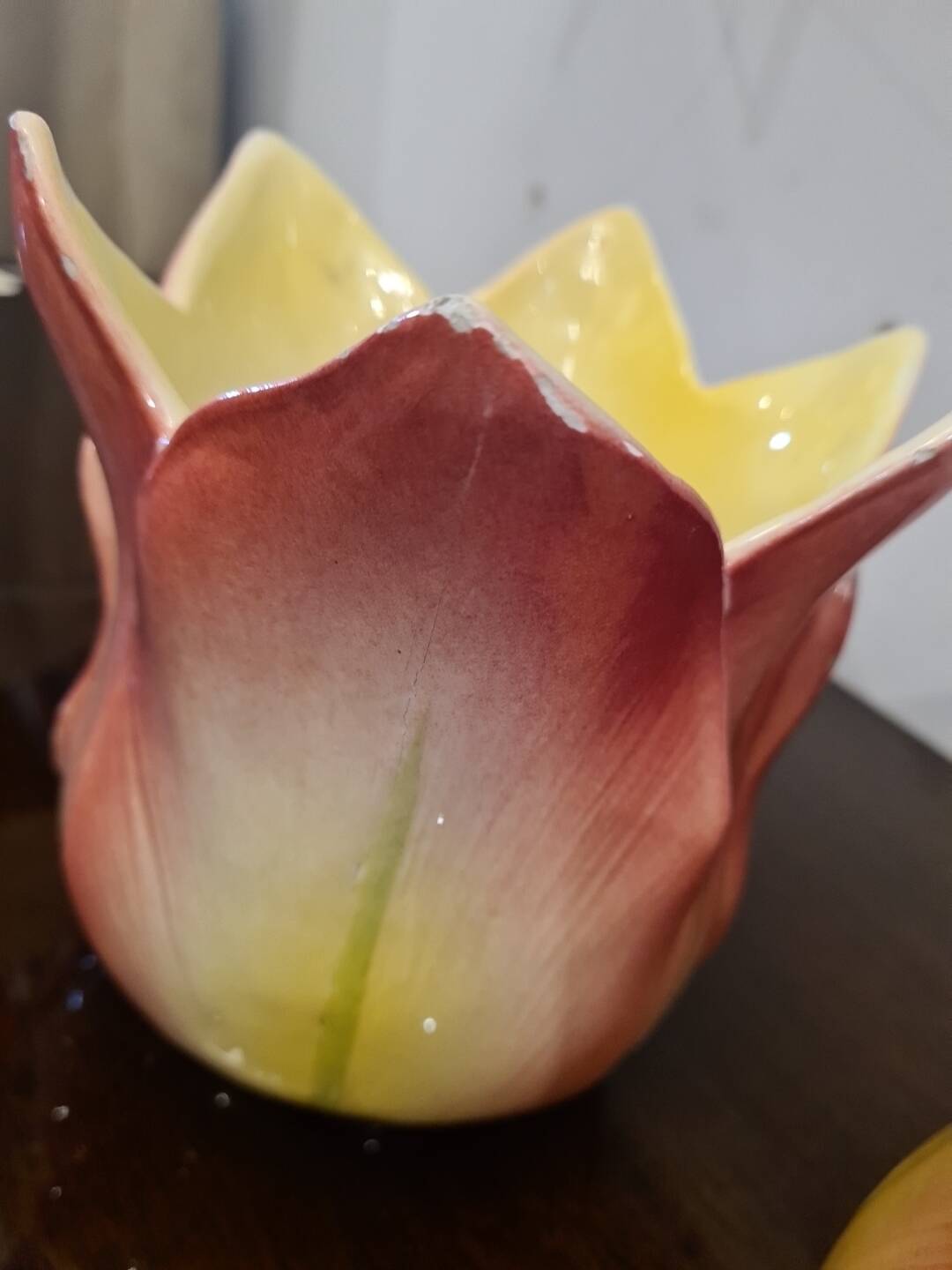 Pair of art nouveau plants signed delphin massier vallauris