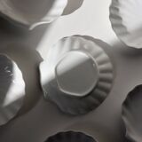 White shell cup