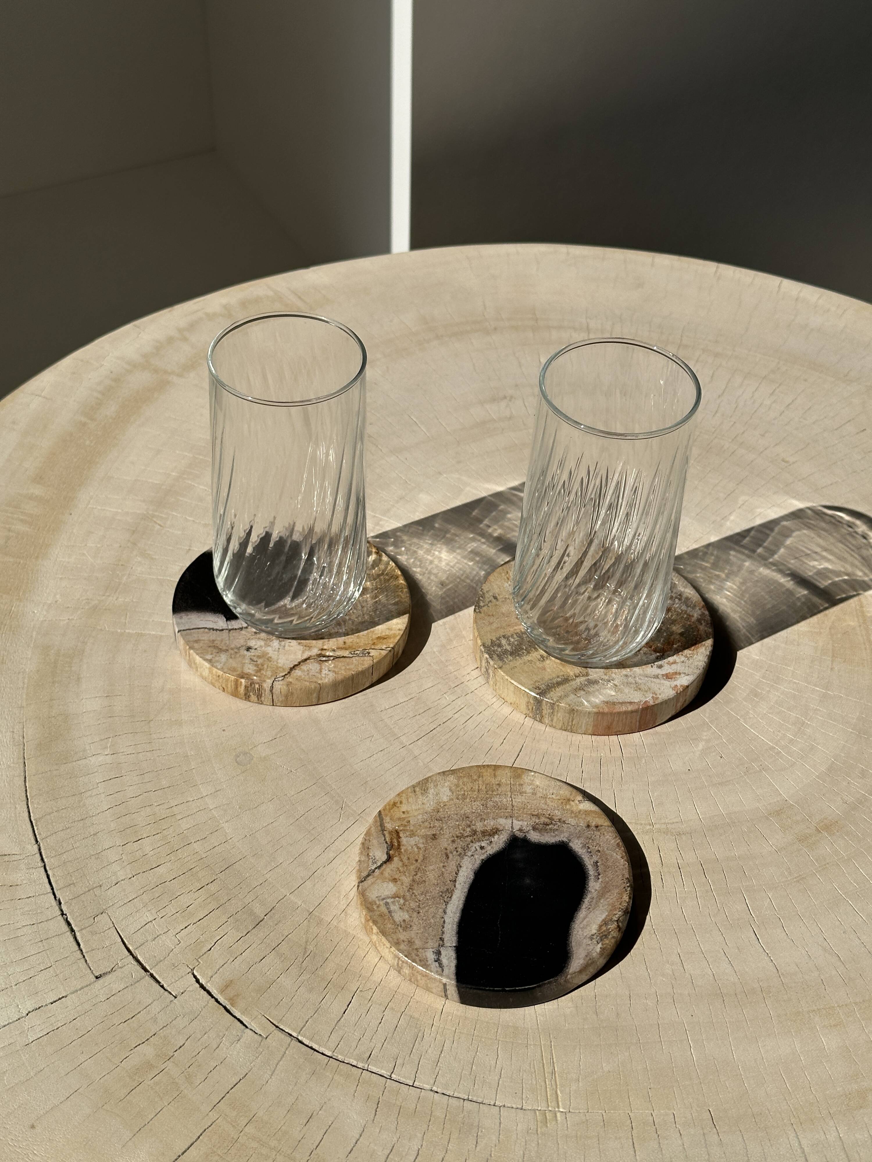 Set of 3 fossilized wood coasters (clear)