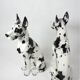 Pair of harlequin Great Danes ceramic Italy 20th century