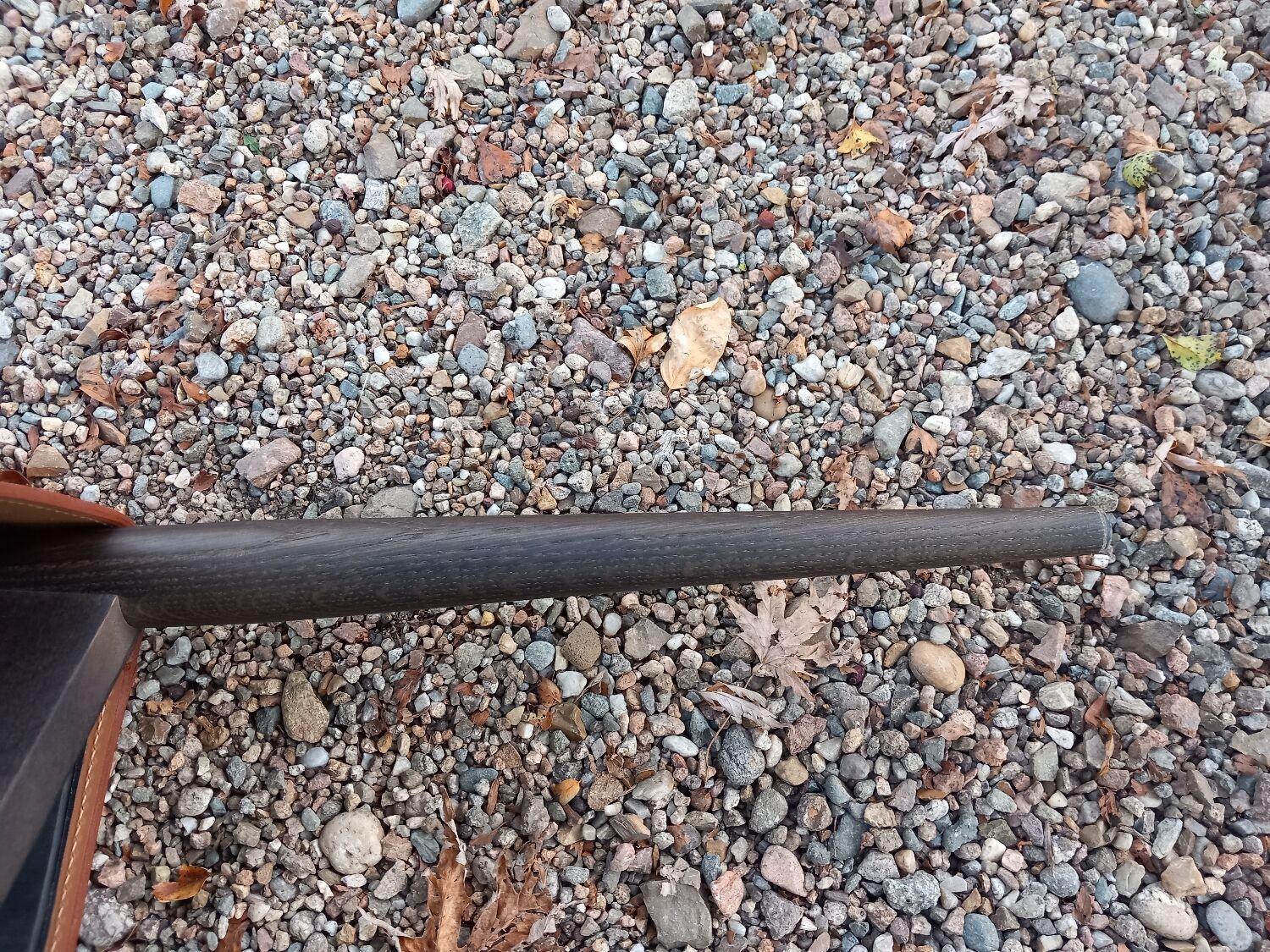 Set of 4 Vela chairs by Carlo Bartoli for Matteo Grassi