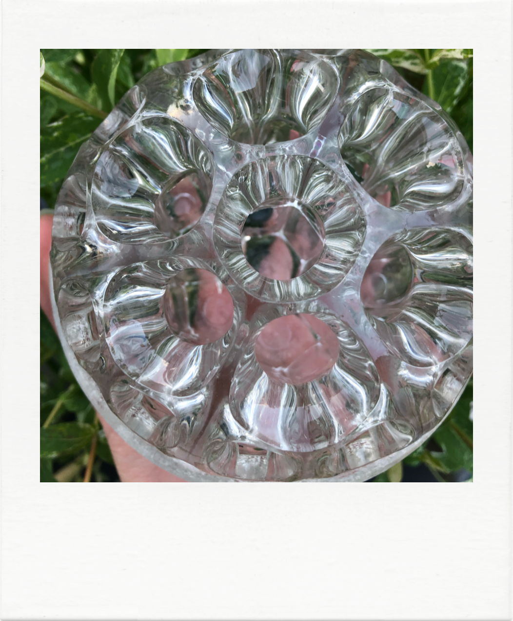 Mid 19-hole flower picks