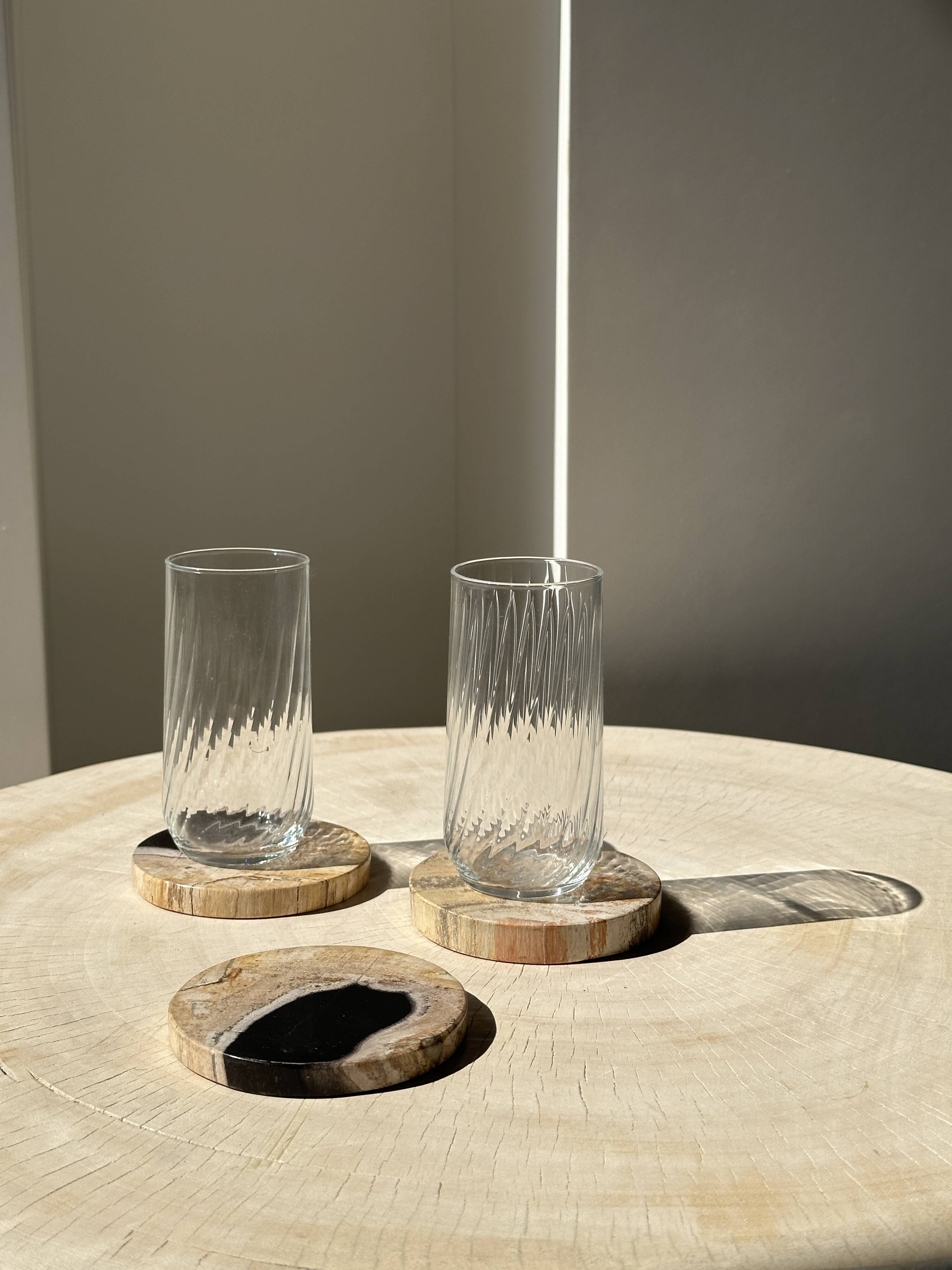 Set of 3 fossilized wood coasters (clear)