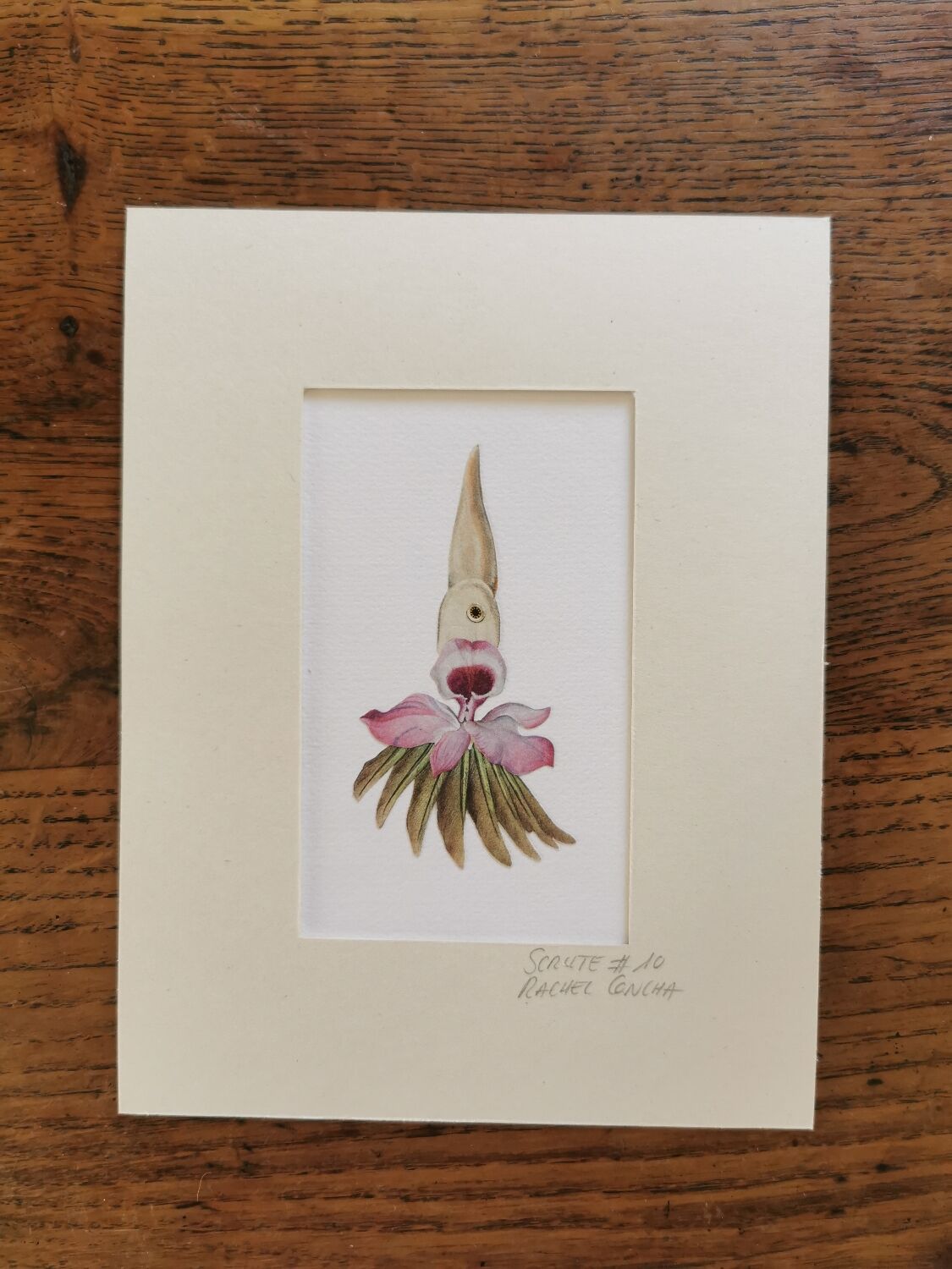 Collage illustration