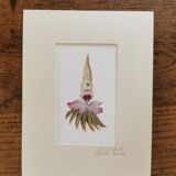 Collage illustration